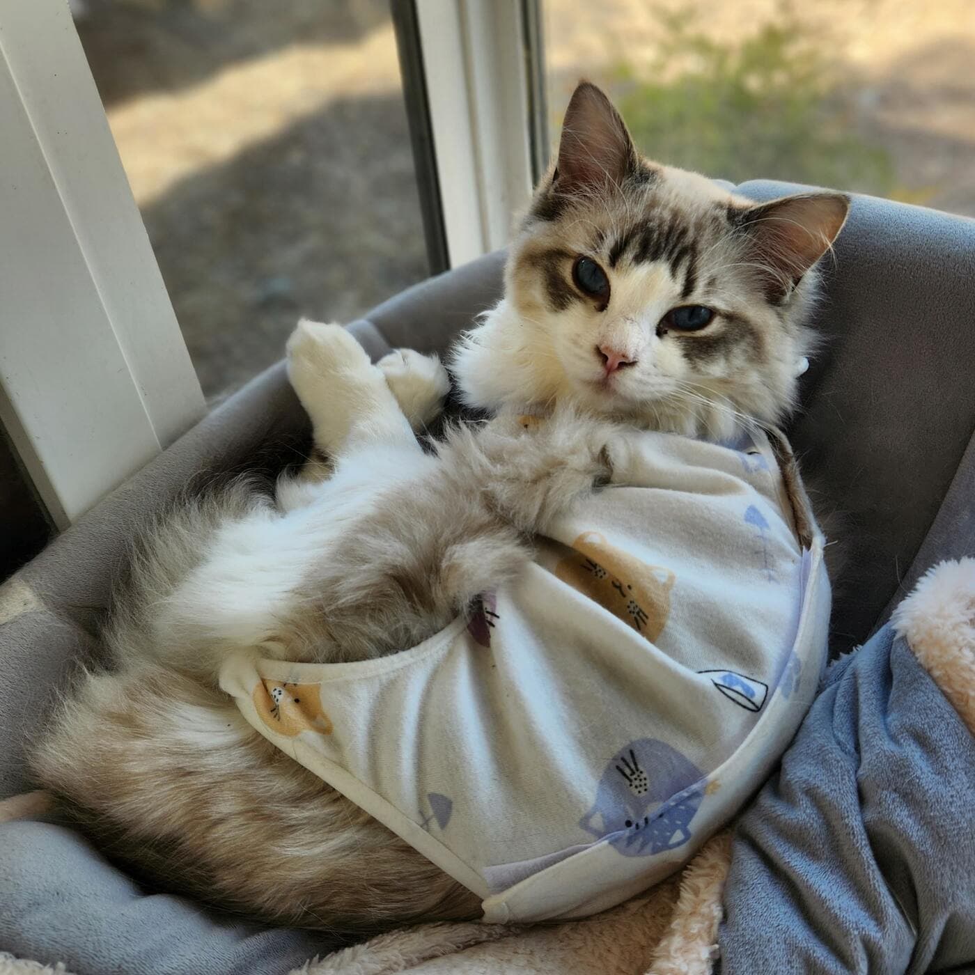 Sign the Adoption Agreement