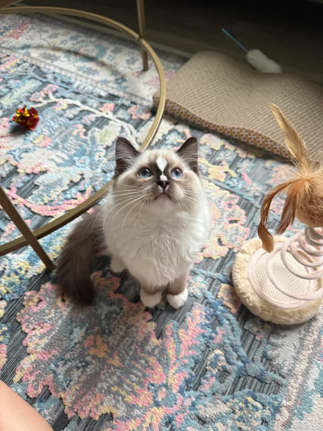 Attachment 3 from Ashton Starr