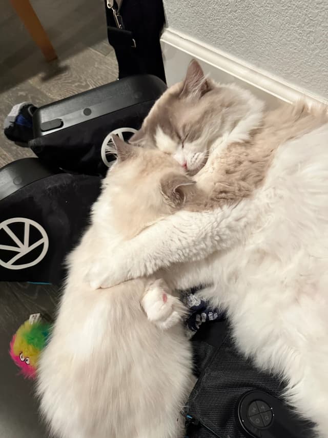 Attachment 3 from Kirsten Mead