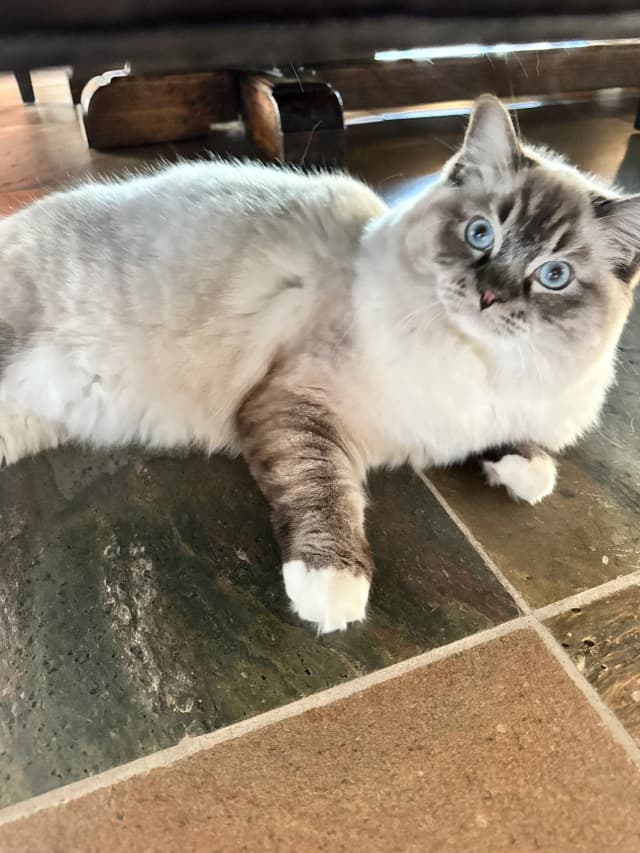 Attachment 1 from Veronica