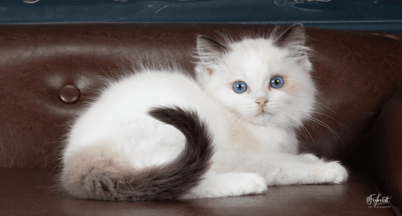 I Paid Nearly $10,000 for Marketing. Here’s What I Got main image