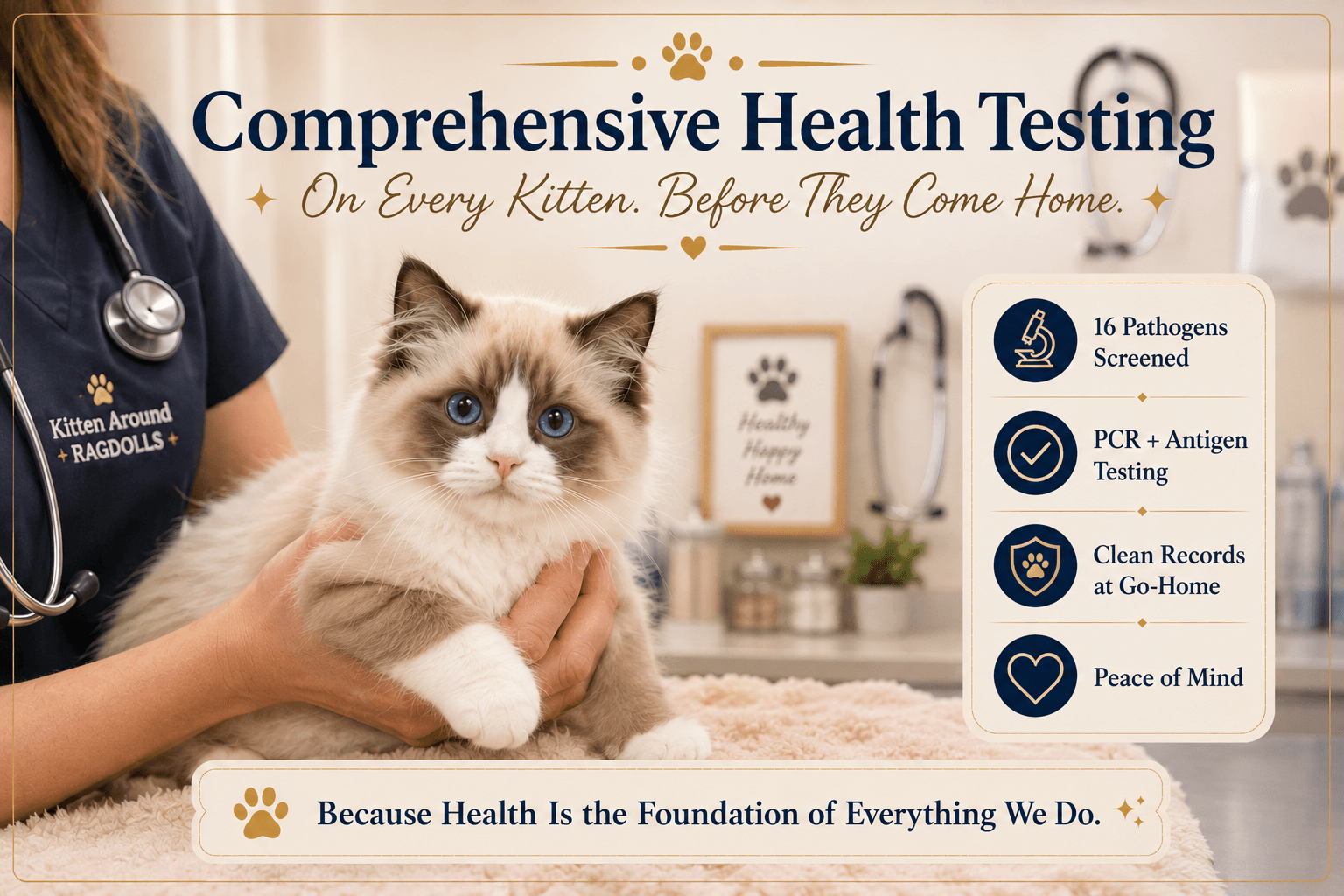 Comprehensive Health Testing on Every Ragdoll Kitten: Our New Standard