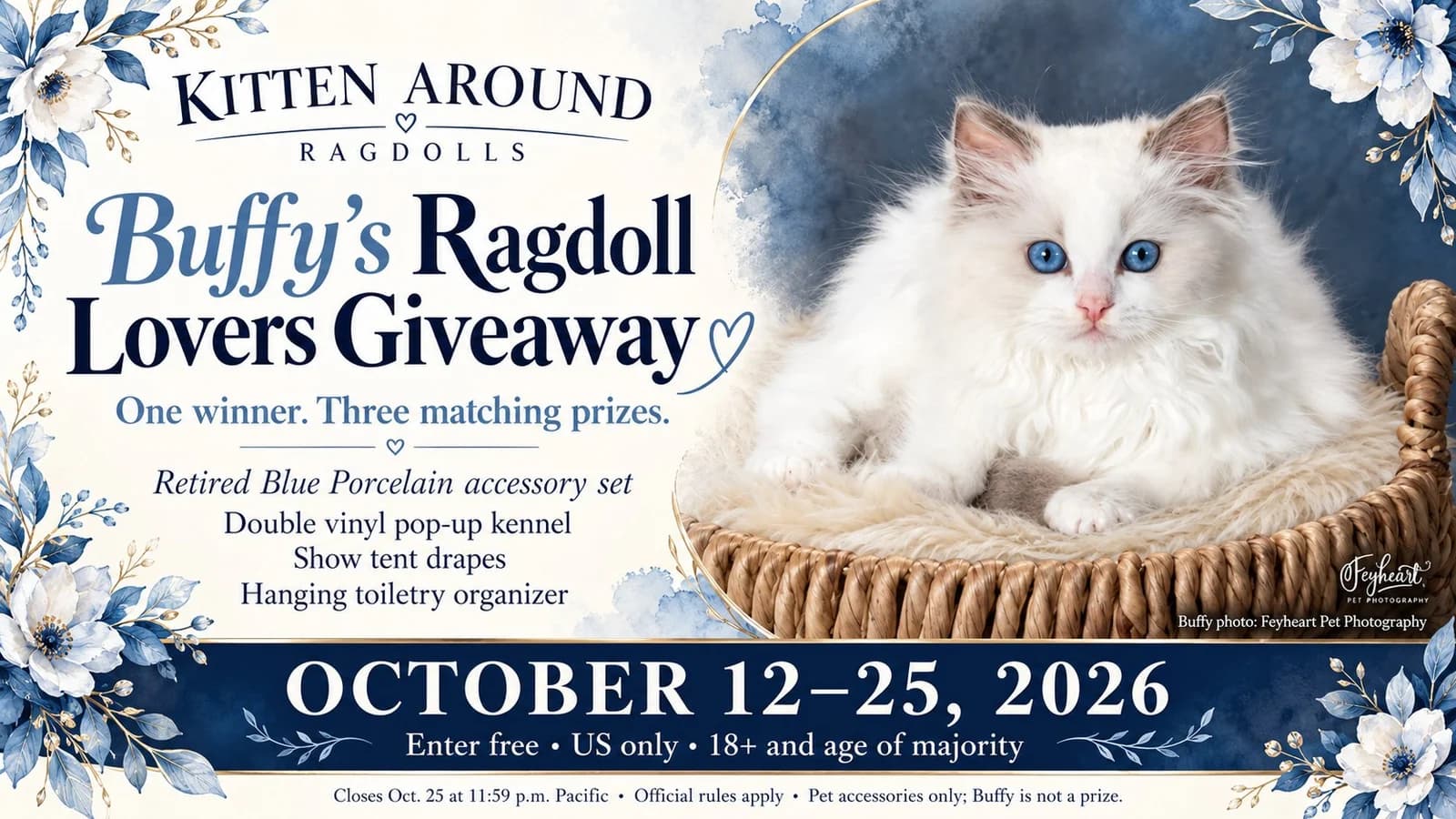 Buffy’s Ragdoll Lovers Giveaway: Win the Matching Blue Porcelain Set